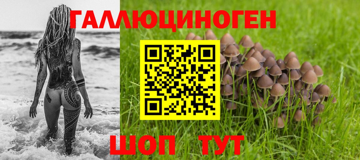 Галлюциногенные грибы ЛСД  Вход с VPN  Галлюциногенные грибы мухоморы  Луга 