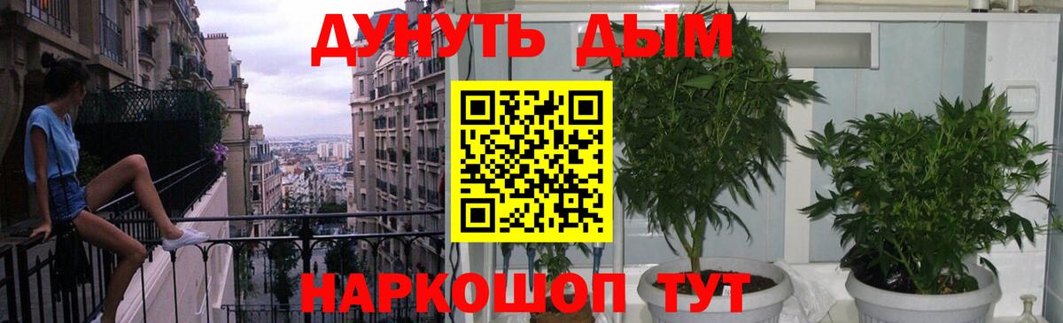 Бошки Шишки сатива Луга